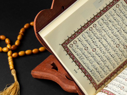 We are looking for others!