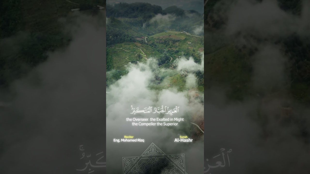 Reel 12 (Recitation Reels)