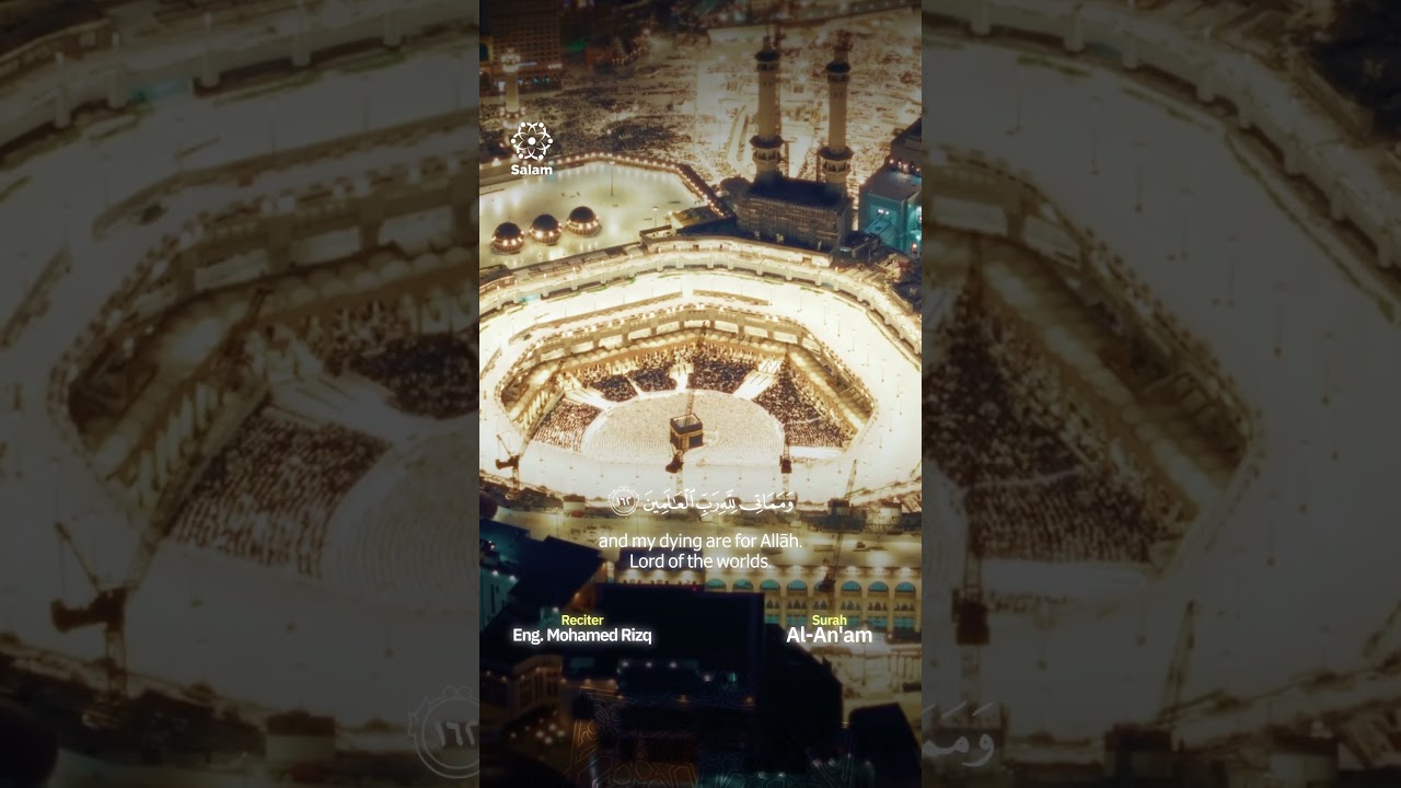 Reel 5 (Recitation Reels)