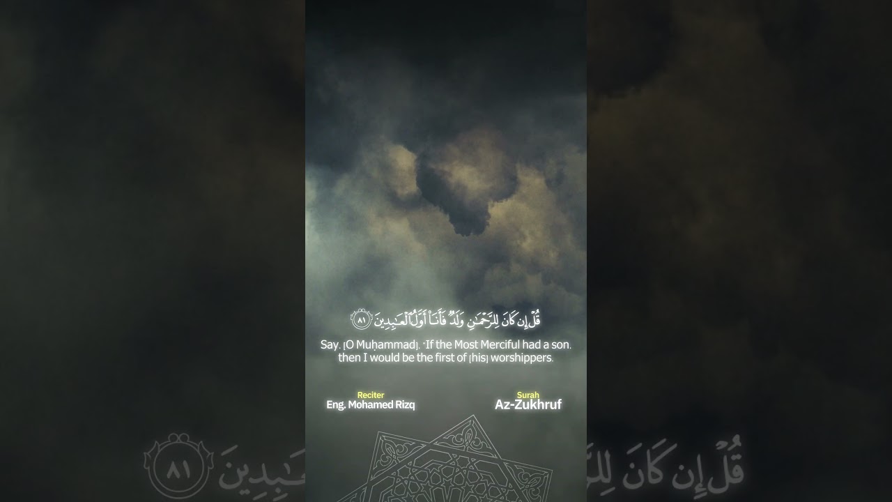 Reel 7 (Recitation Reels)